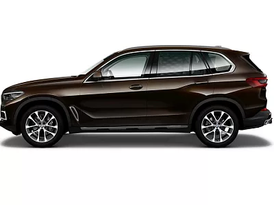 BMW X5 xDrive30d 210 kW automat sparkling-brown metallic