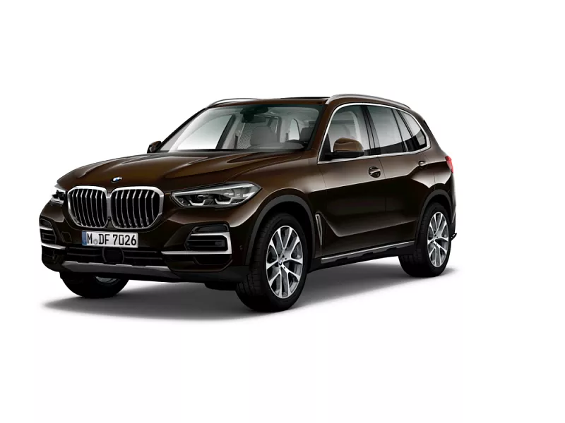 BMW X5 xDrive30d 210 kW automat sparkling-brown metallic