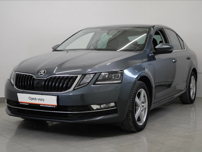 Škoda Octavia 2,0 TDi 135kW 4x4 DSG Style+ 135 kW automat šedá